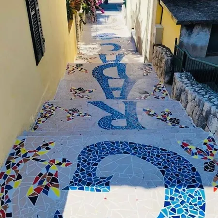 Studio / Ace Location / Free Parking Gradac (Split-Dalmatia)